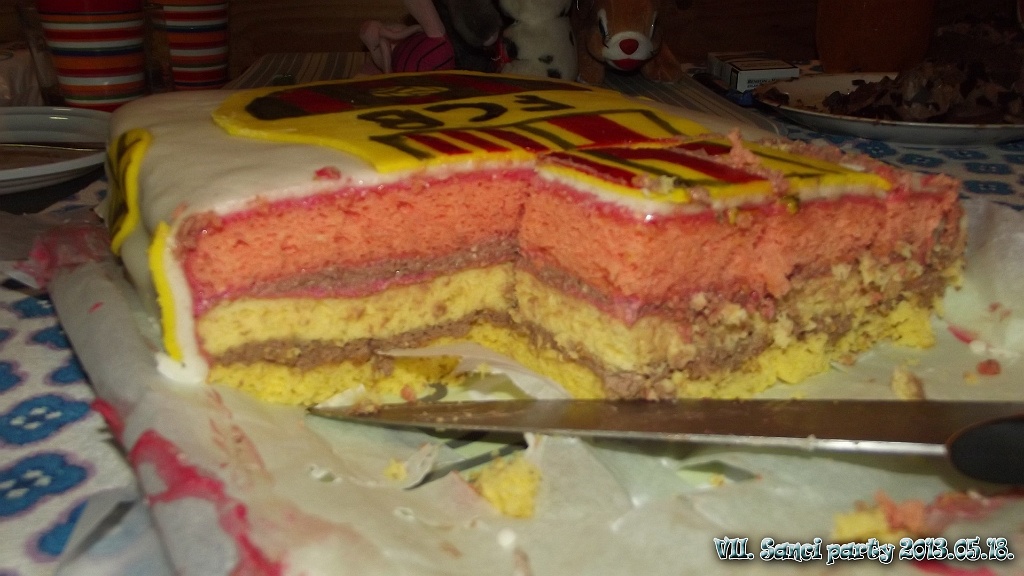 VII. SanciParty  223.jpg